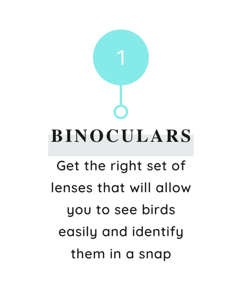 Binoculars point 1