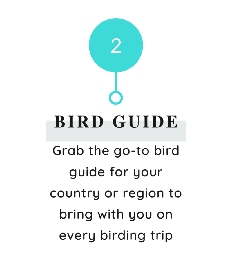 Bird Guide - point 2