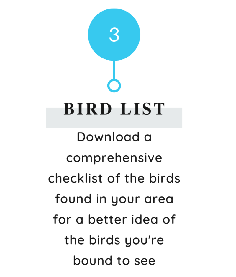 Bird list - point 3