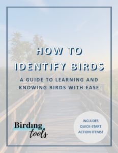 Bird_ID_Guide_Website_Image_BirdingTools