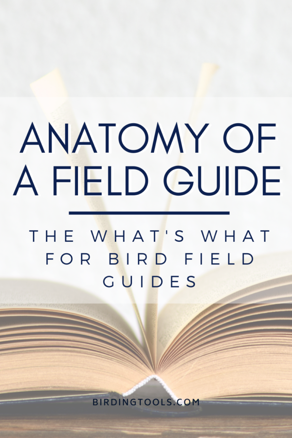 EPISODE-3-anatomy-of-a-field-guide-pinterest