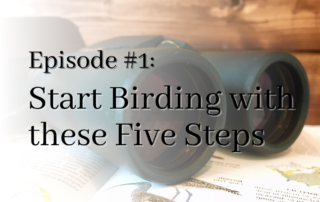 Episode #1 start birding with these five steps