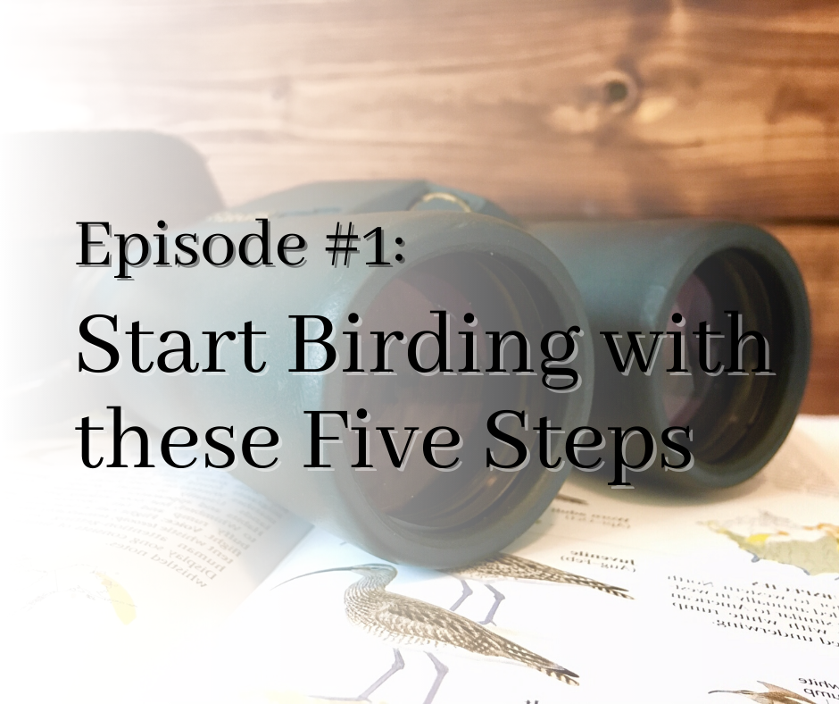 Episode #1 start birding with these five steps