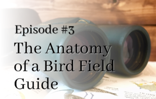 podcast episode 3 anatomy of a bird field guide