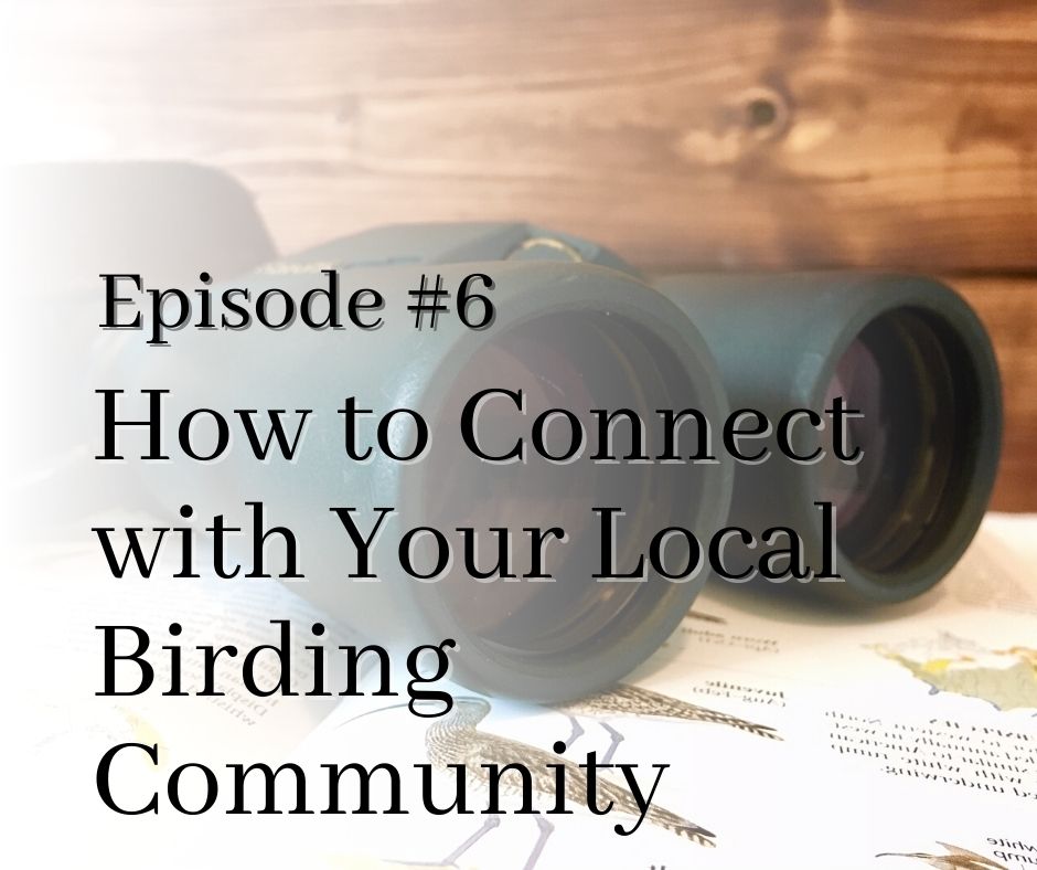 episode 6 connecting with other birders