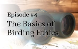 episode 4 birding ethics