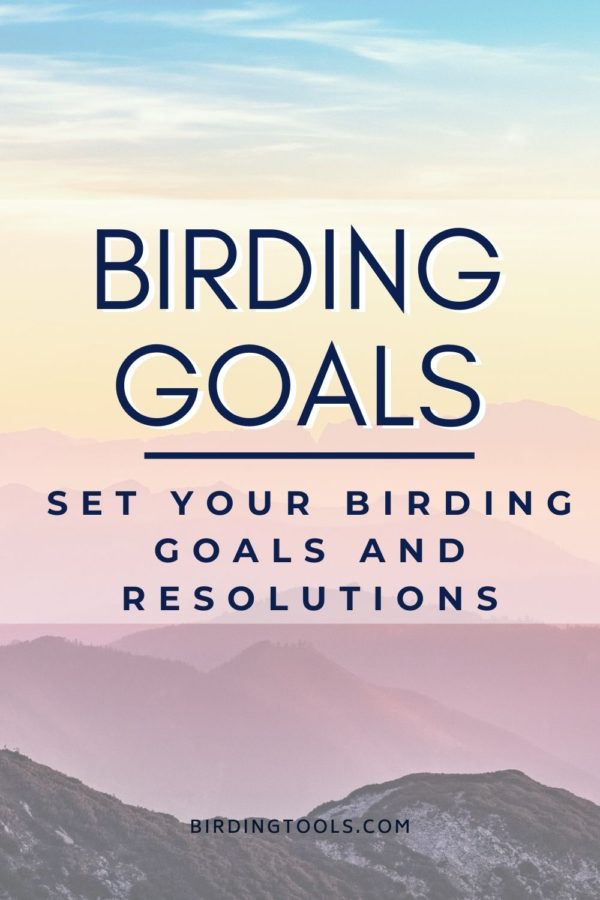 Episode 14 Birding Resolutions Pin