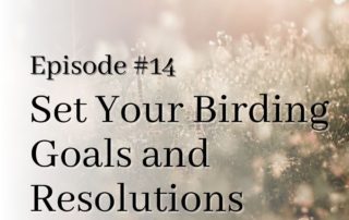 Episode 14 Birding Resolutions Title