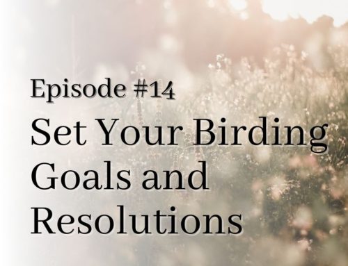 Set Your Birding Goals and Resolutions for the New Year