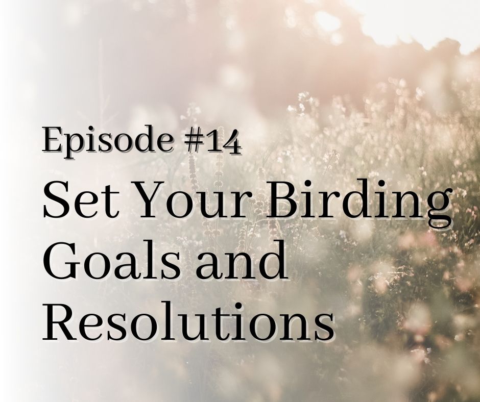 Episode 14 Birding Resolutions Title
