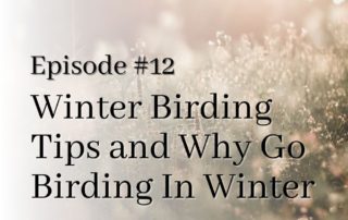 winter birding heading