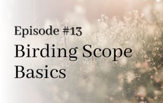 birding scope basics title