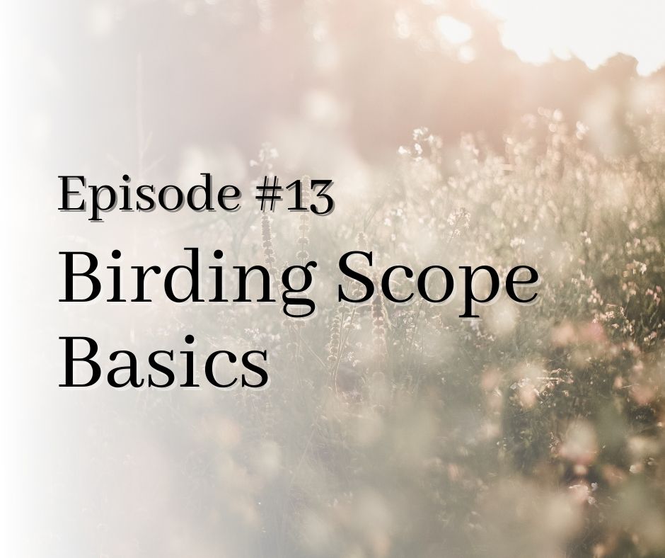 birding scope basics title
