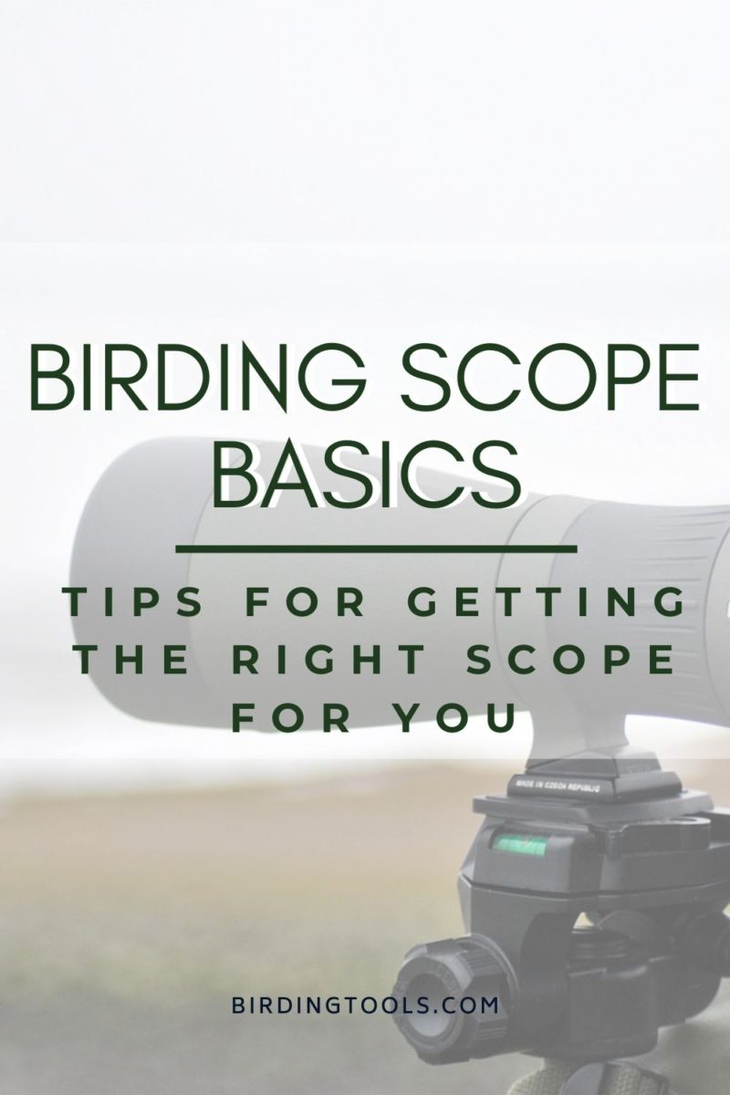 birding scope basics
