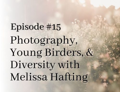 Photography, Young Birders Programs, and Diversity with Melissa Hafting