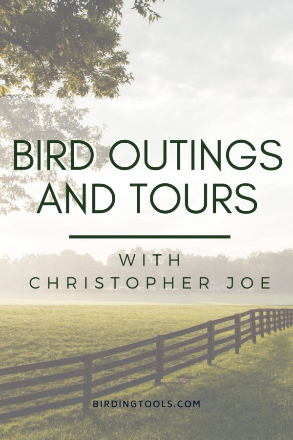 Episode 17 Bird Outings and Tours pin