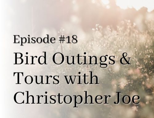 Connecting with Birders through Bird Outings and Tours with Christopher Joe